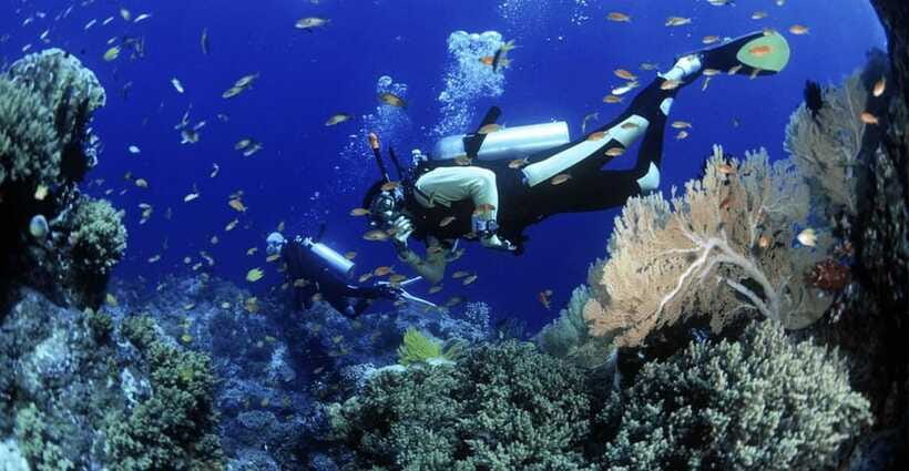 Cham Islands Snorkeling Tour by Speedboat : Hoi An / Da Nang - What the $33 price really covers