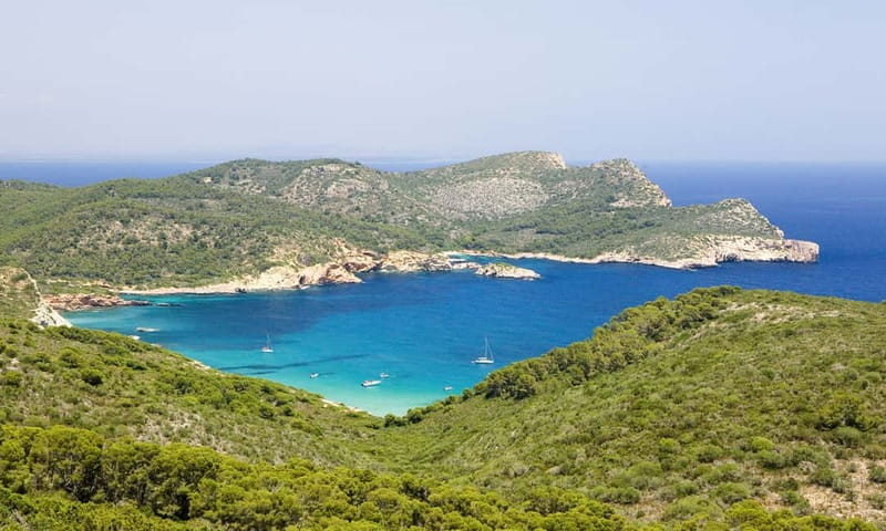 Colonia Sant Jordi: Premium & Fast Boat Tour around Cabrera - Arriving at Cabrera Port and choosing your time ashore