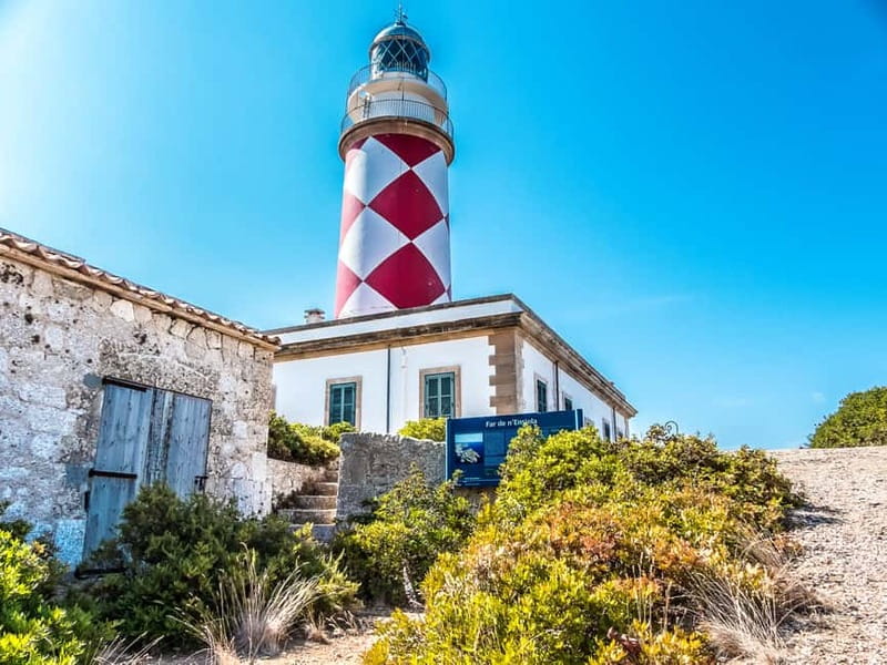 Colonia Sant Jordi: Premium & Fast Boat Tour around Cabrera - Sa Cova, the blue cave swim