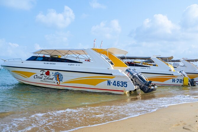 Coral Island Speedboat Tour from Pattaya Only for Indian Tourists - What this Pattaya day trip is really offering