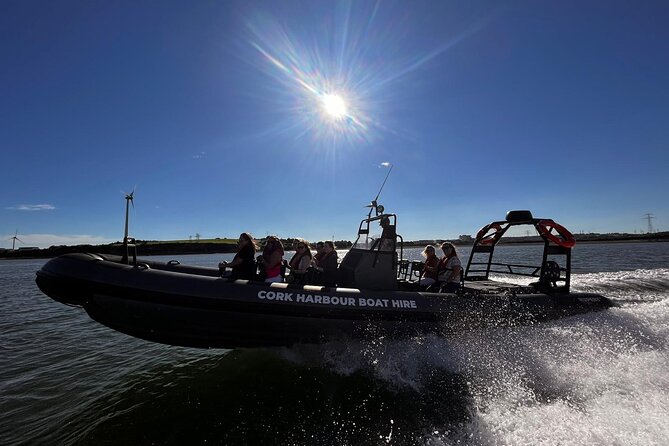 Cork Harbour RIB Tour - Passing the Irish Naval Base and naval ships