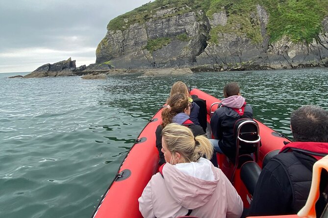 Cork Harbour RIB Tour - Who will enjoy this Cork Harbour trip