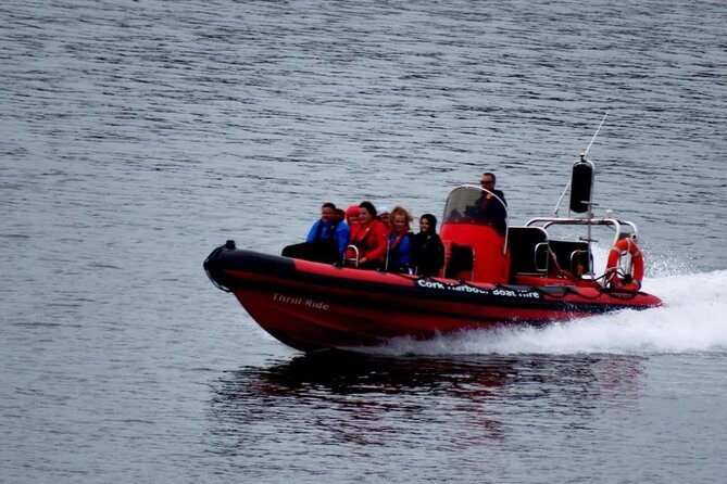 Cork Harbour RIB Tour - Spike Island from the harbour