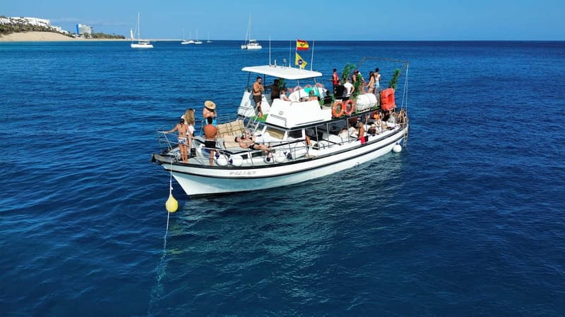 Costa Calma: Fuerteventura Dolphin Watching Zodiac Boat Tour - Is $46 a fair price?