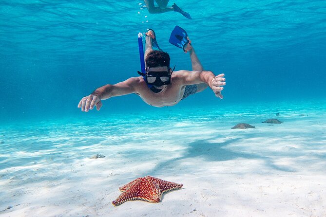 Cozumel Starfish and Tropical Reef Snorkeling by Powerboat with Lunch - Three snorkeling stops with different depths