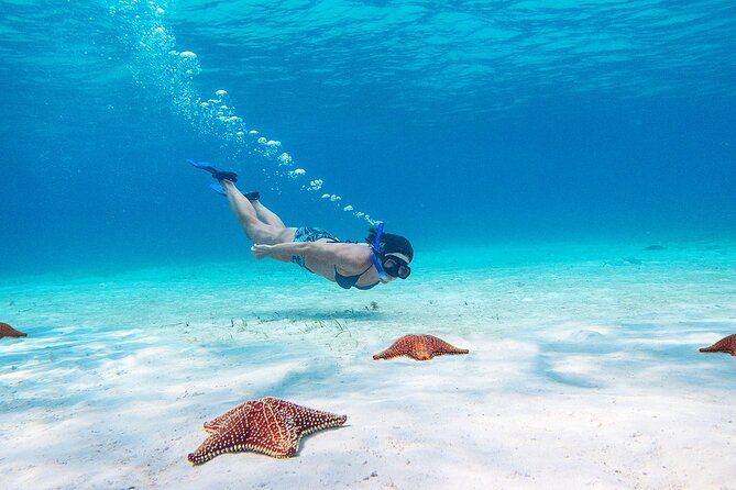 Cozumel Starfish and Tropical Reef Snorkeling by Powerboat with Lunch - Lunch on the boat, not at a beach restaurant