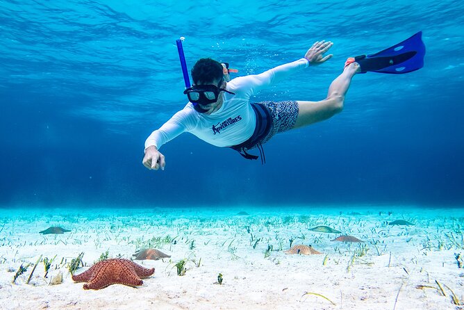 Cozumel Starfish and Tropical Reef Snorkeling by Powerboat with Lunch - Timing, pickup, and practical planning