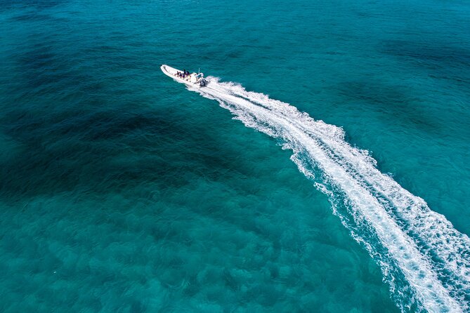 Cozumel Starfish and Tropical Reef Snorkeling by Powerboat with Lunch - El Cielo and the starfish sandbar