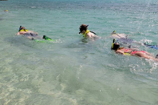 Cristal Speed boat, Snorkeling, Beach Tour & Lunch St Maarten - Creole Rock brings the first reef stop
