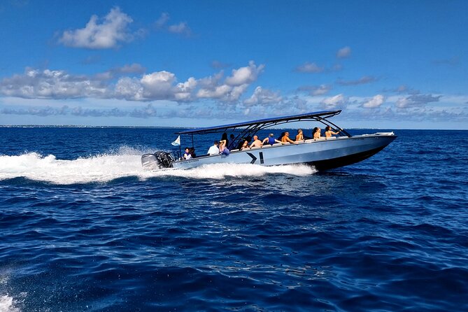 Cristal Speed boat, Snorkeling, Beach Tour & Lunch St Maarten - Tintamarre Island is the turtle-focused stop