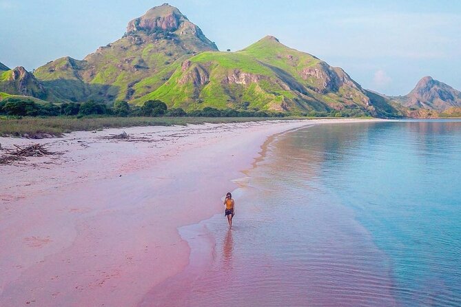 Daily Trip Highlight Komodo Archipelago by Speed Boat - Padar Island and the first hard climb