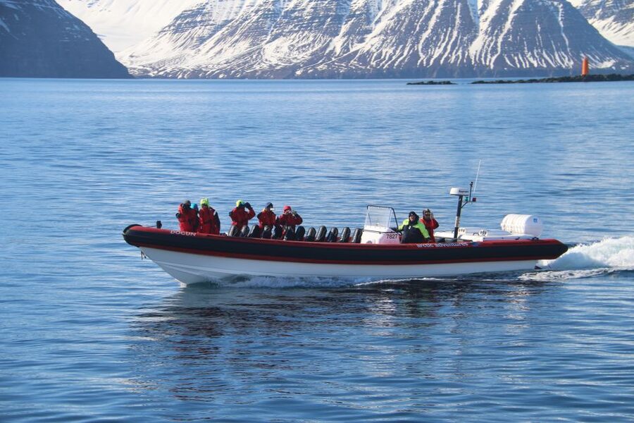 Dalvík: Whale Watching Speedboat Tour - Should you book this experience?