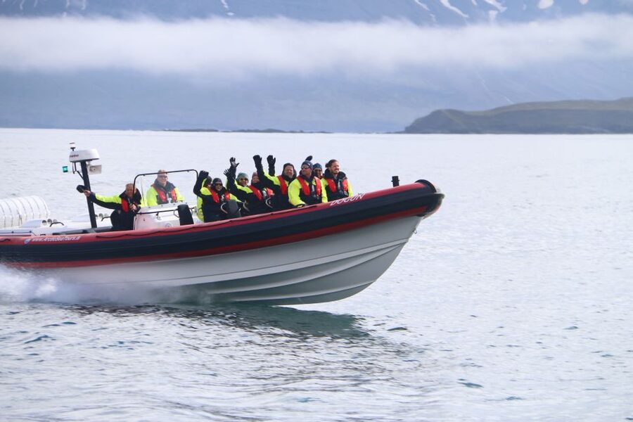 Dalvík: Whale Watching Speedboat Tour - The main 45-minute search for whales and dolphins