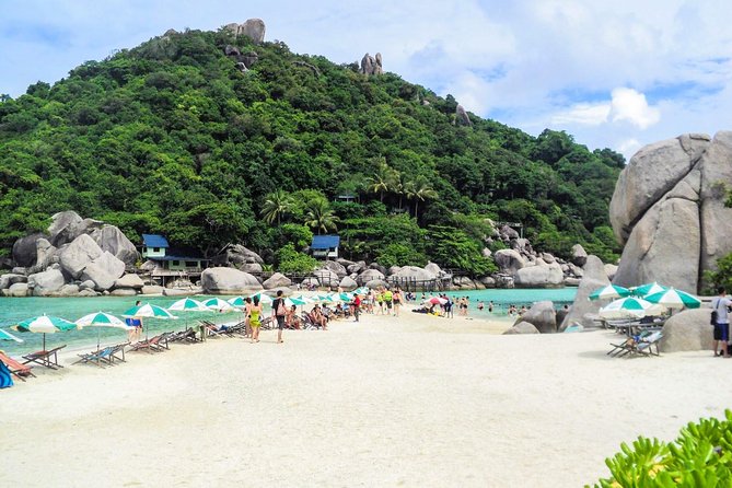 Day Trip to Koh Nangyuan & Koh Tao by Insea Speedboat from Koh Samui - Key points to know before booking