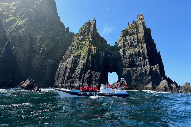 Dingle Boat Tours RIB Adventure Private - Key points for your Dingle boat trip