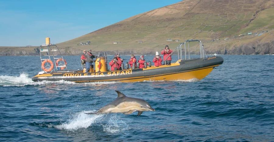 Dingle: Sea Safari by RIB Boat - The cliffs, caves, and unusual rock shapes