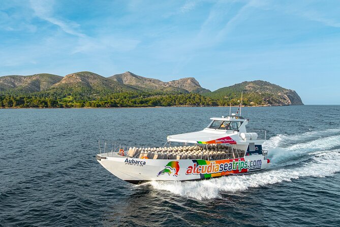 Dolphin Adventure: Fast Boat Dolphin Watching in Mallorca - The open-water search for dolphins