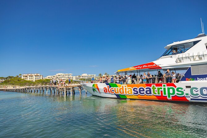 Dolphin Adventure: Fast Boat Dolphin Watching in Mallorca - What the crew adds to the experience