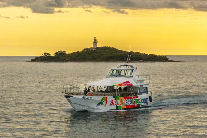 Dolphin Adventure: Fast Boat Dolphin Watching in Mallorca - Who will enjoy this boat trip most?
