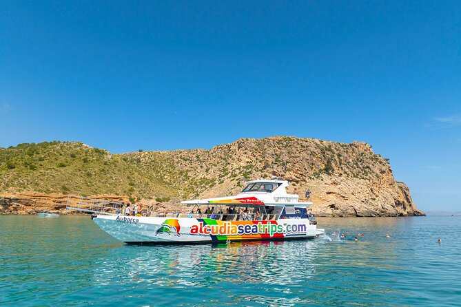 Dolphin Adventure: Fast Boat Dolphin Watching in Mallorca - Practical details before you reserve