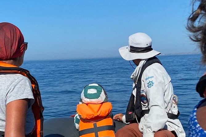 Dolphin Expedition Shared Speedboat tour with Biologist guide - The monastery ruins and the 1755 earthquake