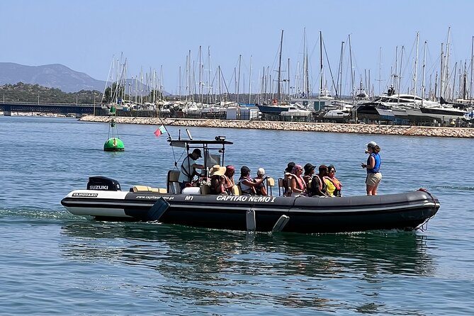 Dolphin Expedition Shared Speedboat tour with Biologist guide - Ferragudo and São João do Arade Castle