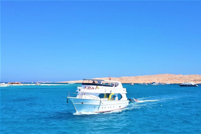 Dolphin House By Private Speed Boat & Drinks & Transfer-Hurghada - Snorkeling over Red Sea coral