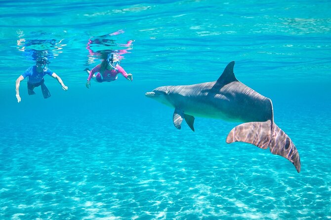 Dolphin House By Private Speed Boat & Drinks & Transfer-Hurghada - Drinks, deck time, and the private format