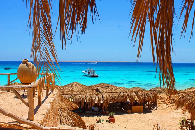 Dolphin House By Private Speedboat With Giftun Island _ Hurghada - Snorkeling over Red Sea coral