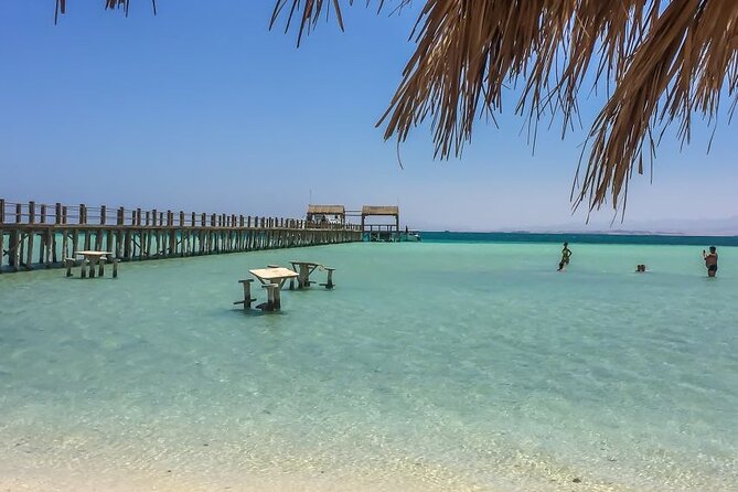 Dolphin House By Private Speedboat With Giftun Island _ Hurghada - Two hours on Giftun Island