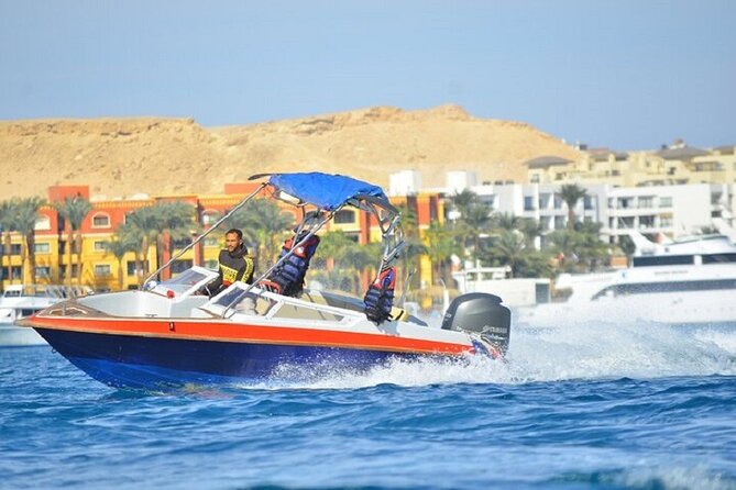 Dolphin Snorkel With private Speed Boat & Water Sports - Hurghada - Two reef stops with fish, rays, and jellyfish