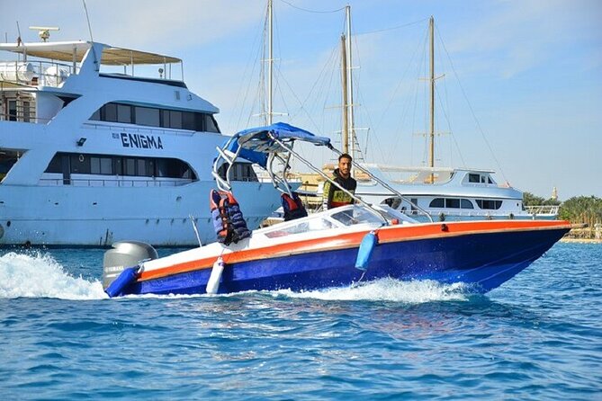 Dolphin Snorkel With private Speed Boat & Water Sports - Hurghada - Water sports beyond snorkeling
