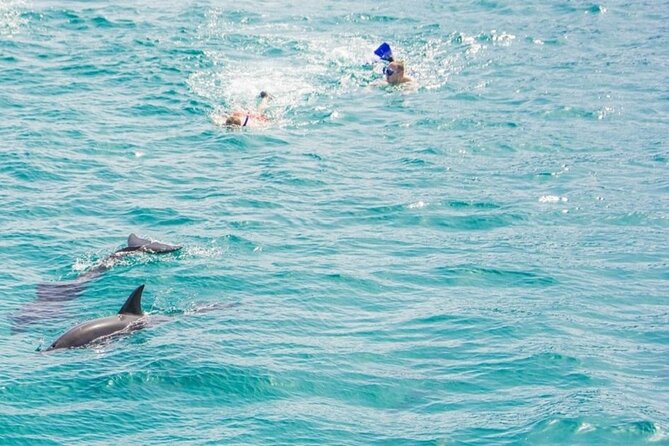 Dolphin Snorkel With private Speed Boat & Water Sports - Hurghada - The extra fees and the real cost