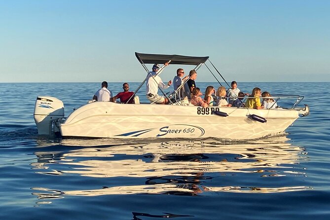 Dolphin Sunrise Adventure with Speedboat - Watching dolphins near the fishing fleet