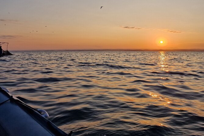Dolphin Sunrise Adventure with Speedboat - Sunrise views and time for photographs