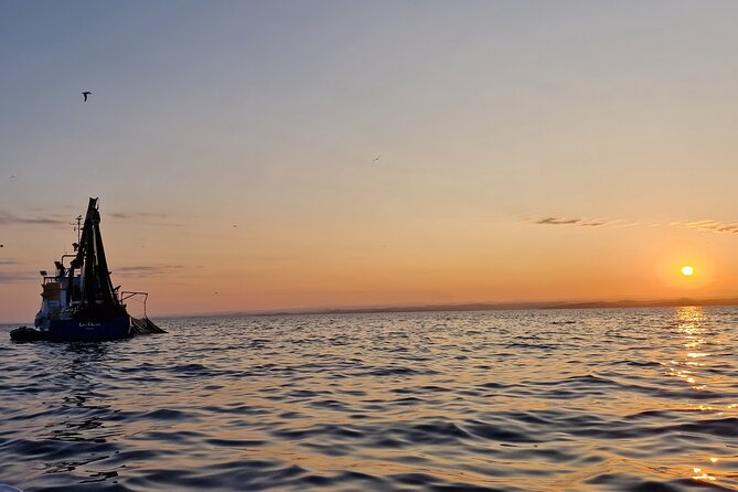 Dolphin Sunrise Adventure with Speedboat - The guide’s role on a short outing