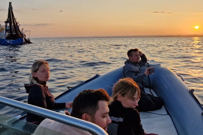Dolphin Sunrise Adventure with Speedboat - Who will enjoy this most