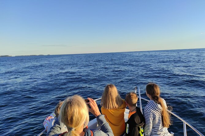 Dolphin Sunset Adventure with Speedboat - Sunset views and the return to Vrsar