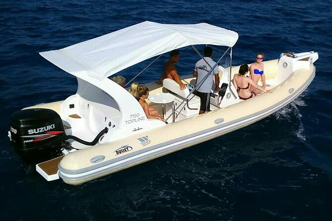 Dolphin trip with private speedboat and snorkeling - The guide and language support