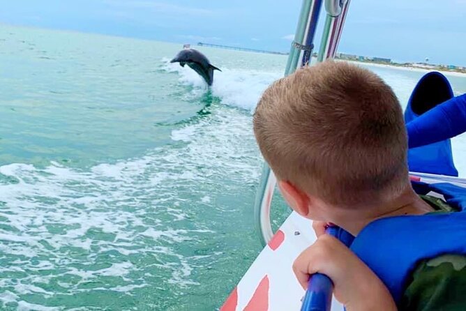 Dolphin-Watching Speedboat Cruise in Destin Harbor - Key points before you book