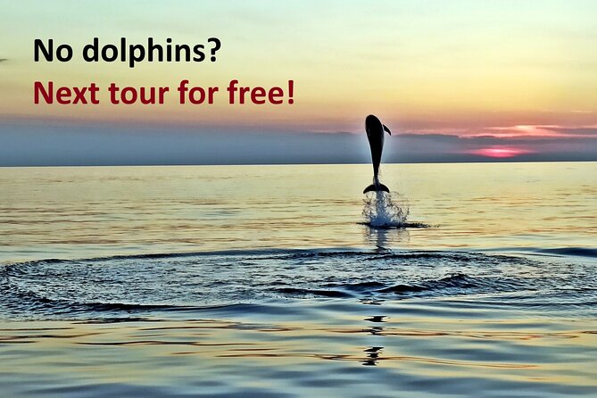 Dolphin Watching Sunset Speedboat Tour with Drinks in Rovinj - Finding the boat at the end of the pier