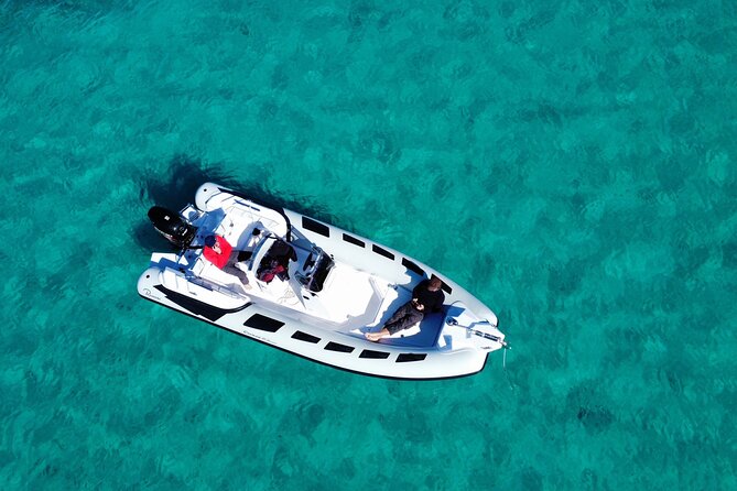 Dolphins Rib boat (up 6 people) Private - Following the Costa Smeralda coastline