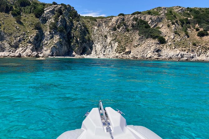Dolphins Rib boat (up 6 people) Private - What the skipper adds to the experience