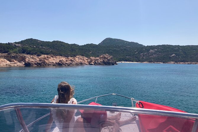 Dolphins Rib boat (up 6 people) Private - Snacks, drinks, and the family factor