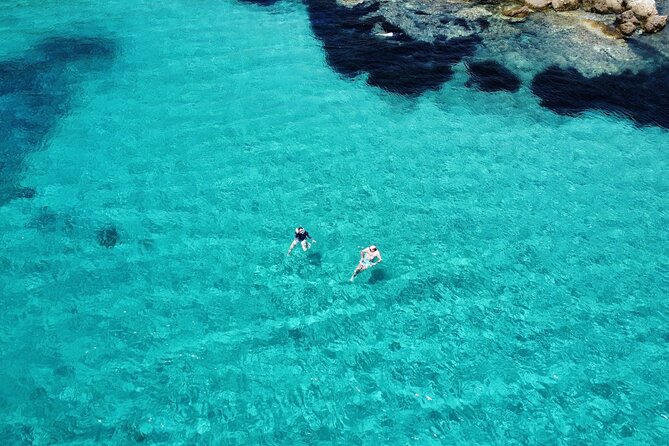 Dolphins Rib boat (up 6 people) Private - Figarolo, where snorkeling becomes the main event