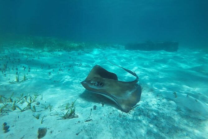 Drive an Speedboat at full speed at Cancun's Lagoon & Snorkeling - A two-hour plan that keeps moving