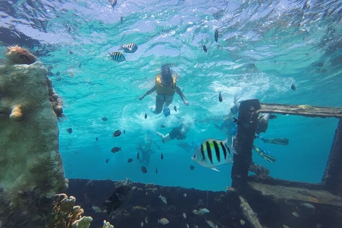 Drive an Speedboat at full speed at Cancun's Lagoon & Snorkeling - Who will enjoy this outing most
