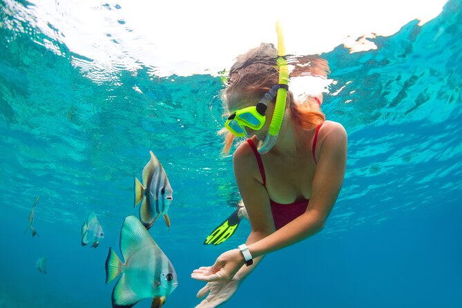 Drive an Speedboat + Mayan Ritual + Food Tasting and More! - Who will enjoy this Cancun experience