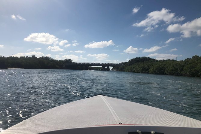 Drive the best speedboat in Cancun and feel the adrenaline. - Weather, boats, and the practical risks