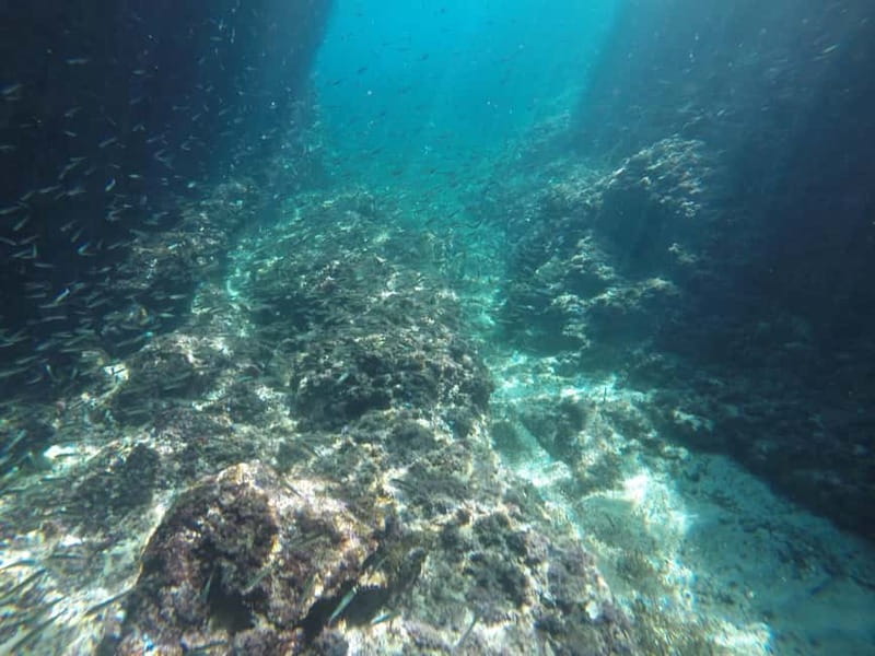 Dubrovnik: Blue Cave, Green Cave & Sunj Beach Speedboat Tour - What the speedboat ride is really like